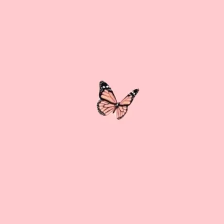 @melissamoorman992