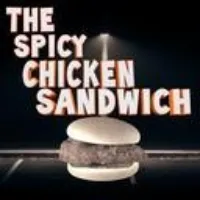 @thespicychickensandwich1