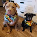 @jakeandlunasmom