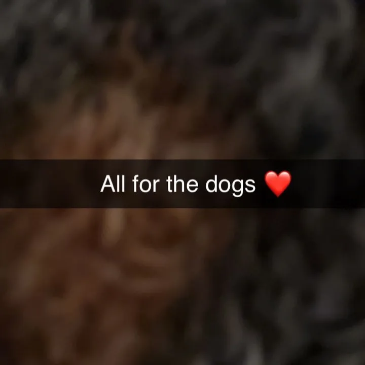 @woycheesepups