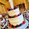 sweetbeecupcakery