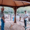 vailstables