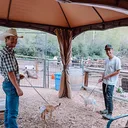 @vailstables