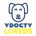 @vdogtv