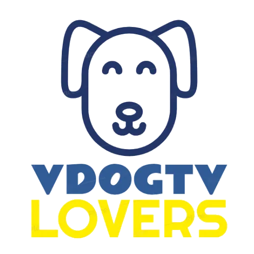 vdogtv