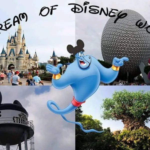@idreamofdisneyworld