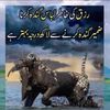 shahzada.93