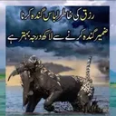 @shahzada.93