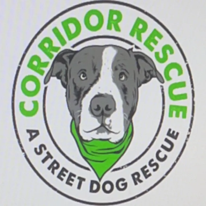 corridor.rescue