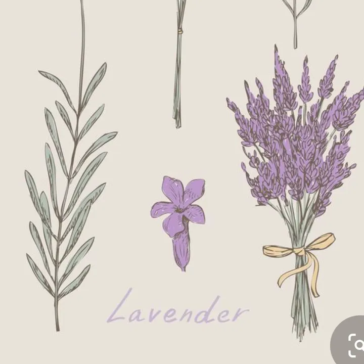 lavender.poetryy