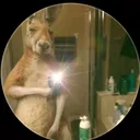 @timcanguro000_