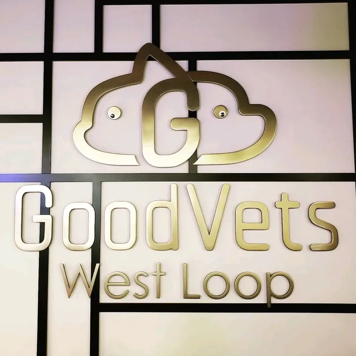 goodvets.chicago