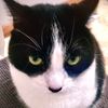 itsskittyy