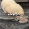 jackpotsadgrrl