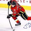 hockeydb