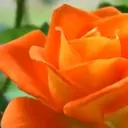 @maria.paqui5