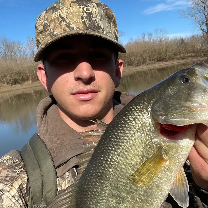 cangifishing