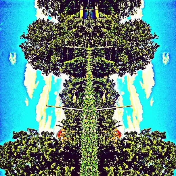 @james_ca_
