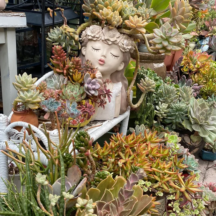 euphoriablooms