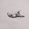 skettiturtles