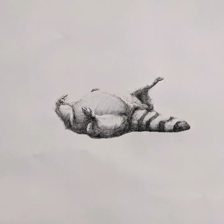 skettiturtles