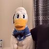 donaldduccarchive