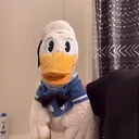 @donaldduccarchive