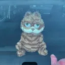 @helpmepleaseyikes