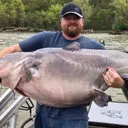 @southerncatfish