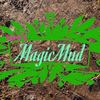 tarasmagicmud