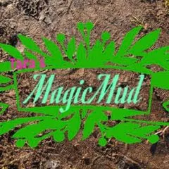 @tarasmagicmud