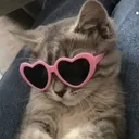 @toca.bebess