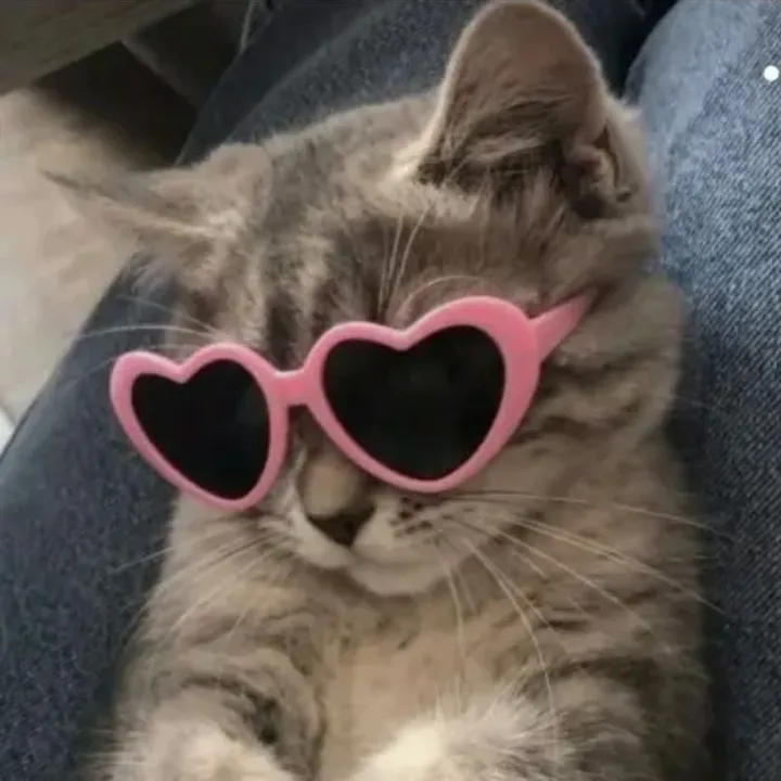 @toca.bebess
