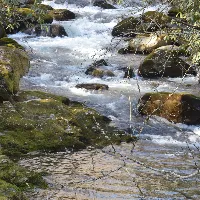 mountaindrivewithcaney