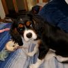 munchkin_mom