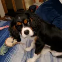 @munchkin_mom