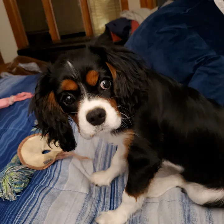 munchkin_mom