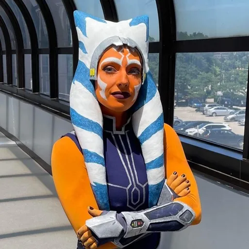 commander_poptart