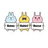 romeorabbitrescue