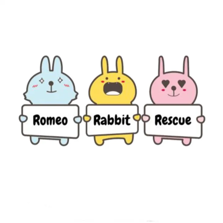 romeorabbitrescue