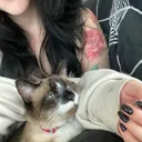 @kimeek0