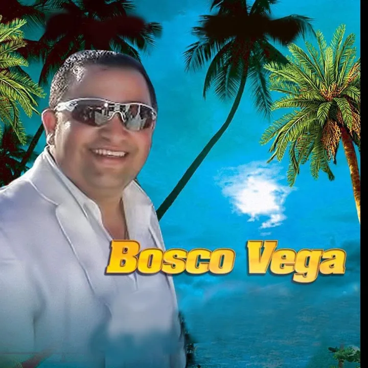 @boscovega15