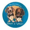 @ballparkdoxies