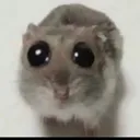 @diggledagg3r
