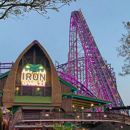 @coastersiblings