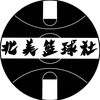 chineseballervisi