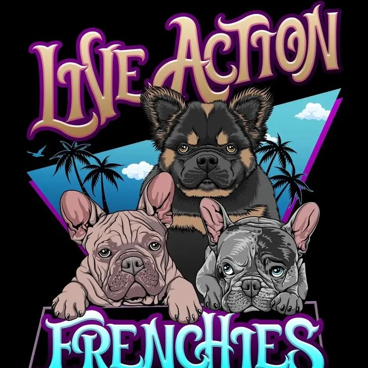 @liveactionfrenchies