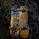 @lamskskateteam