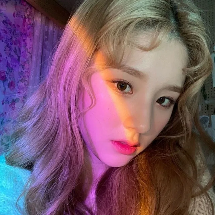 @ryujz