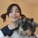 @punchapin